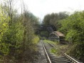 /album/my-local-birding-gallery/obsolete-railway-line-at-horbury-wyke-west-yorkshire-jpg/